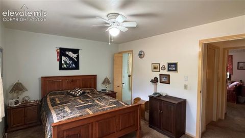 Tiny photo for 741 Elfin Glen Drive, Divide, CO 80814 (MLS # 2031550)