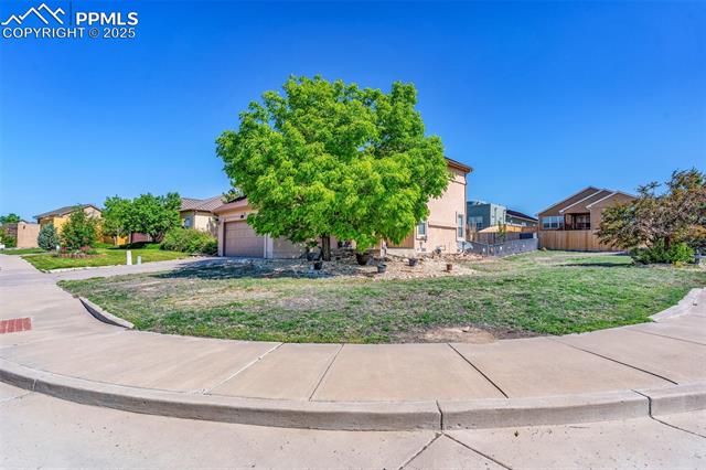 3533 Rio Bravo Drive