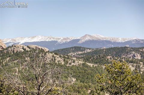 Tiny photo for 280 Highland Meadows Drive, Florissant, CO 80816 (MLS # 2982816)