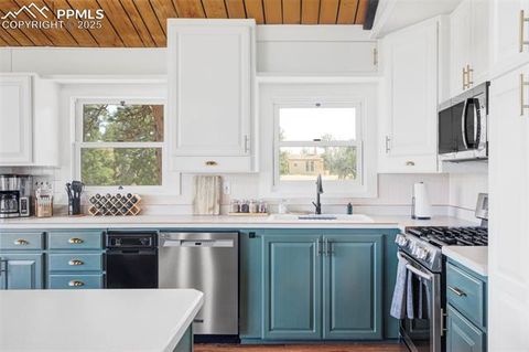 Tiny photo for 280 Highland Meadows Drive, Florissant, CO 80816 (MLS # 2982816)