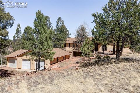 Photo of 280 Highland Meadows Drive, Florissant, CO 80816 (MLS # 2982816)