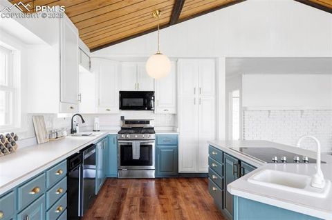 Tiny photo for 280 Highland Meadows Drive, Florissant, CO 80816 (MLS # 2982816)