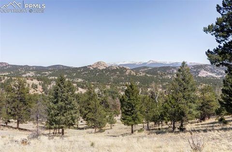 Tiny photo for 280 Highland Meadows Drive, Florissant, CO 80816 (MLS # 2982816)