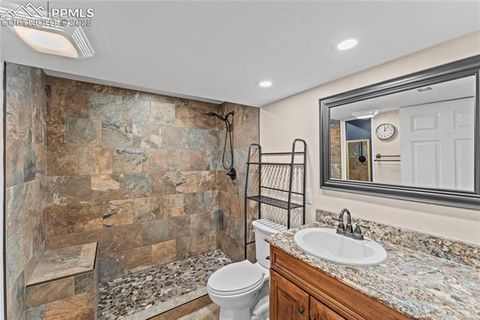 Tiny photo for 1005 Mountain View Road, Woodland Park, CO 80863 (MLS # 8634604)