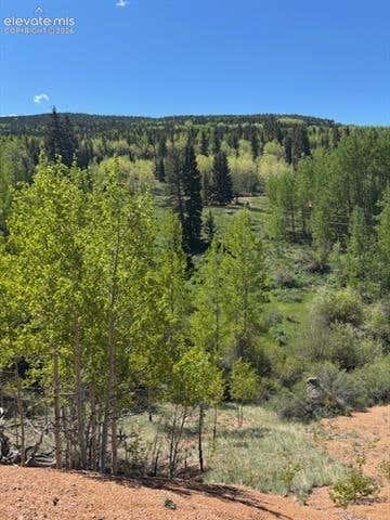 Photo of 124 Yorktown Drive, Cripple Creek, CO 80813 (MLS # 4538420)