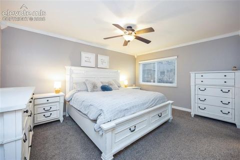 Tiny photo for 975 Tari Drive, Colorado Springs, CO 80921 (MLS # 6616135)