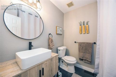 Tiny photo for 975 Tari Drive, Colorado Springs, CO 80921 (MLS # 6616135)