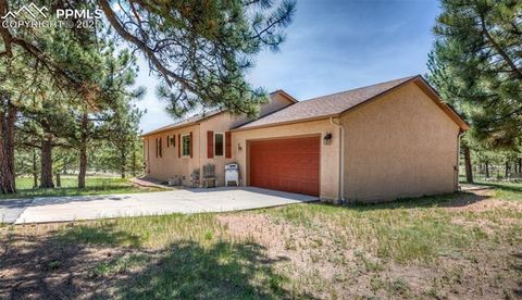 Tiny photo for 2602 Southpark Road, Florissant, CO 80816 (MLS # 6139114)