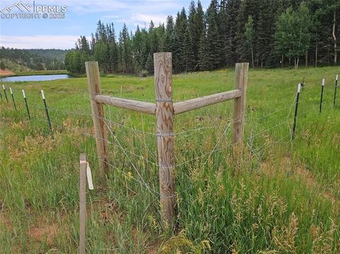 Photo of 702 Lake Drive, Divide, CO 80814 (MLS # 4490523)