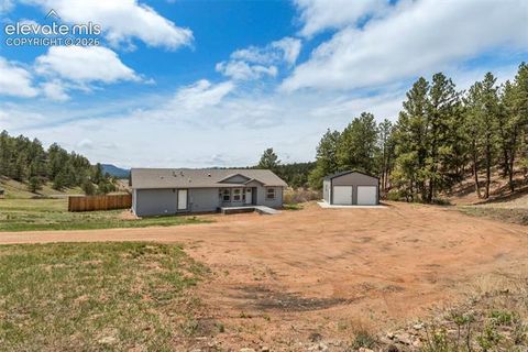 Tiny photo for 740 Crystal Peak Road, Florissant, CO 80816 (MLS # 5173736)