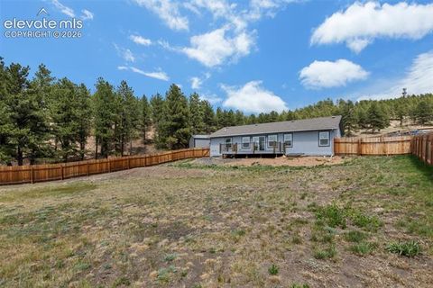 Tiny photo for 740 Crystal Peak Road, Florissant, CO 80816 (MLS # 5173736)