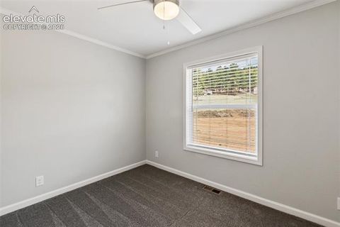 Tiny photo for 740 Crystal Peak Road, Florissant, CO 80816 (MLS # 5173736)