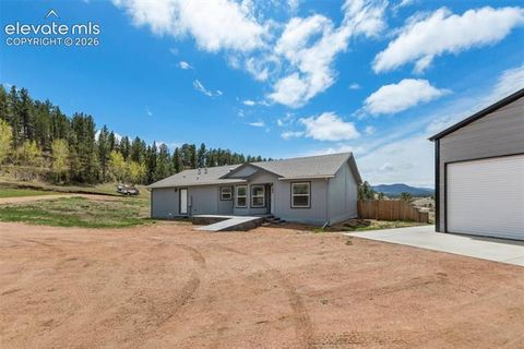 Tiny photo for 740 Crystal Peak Road, Florissant, CO 80816 (MLS # 5173736)