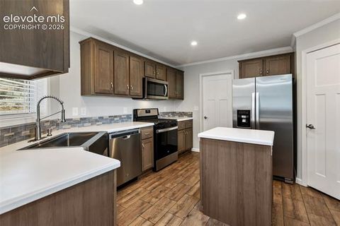 Tiny photo for 740 Crystal Peak Road, Florissant, CO 80816 (MLS # 5173736)