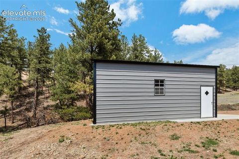 Tiny photo for 740 Crystal Peak Road, Florissant, CO 80816 (MLS # 5173736)