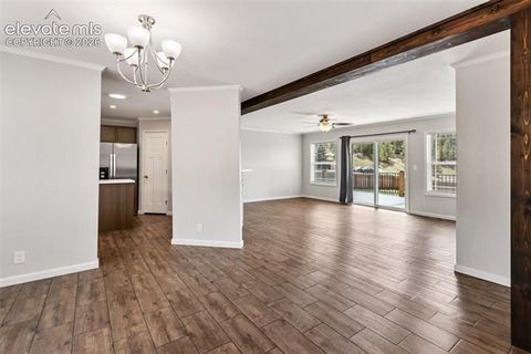 Tiny photo for 740 Crystal Peak Road, Florissant, CO 80816 (MLS # 5173736)
