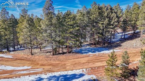 Photo of 79 Huntsman Circle, Florissant, CO 80816 (MLS # 6325892)