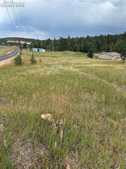 Photo of 1733 Deer Ridge Trail, Florissant, CO 80816 (MLS # 7181969) Photo of 1733 Deer Ridge Trail, Florissant, CO 80816 (MLS # 7181969)