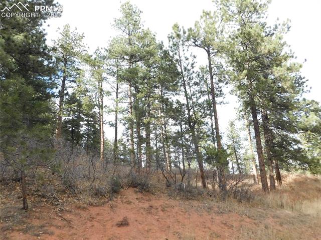 8055 Acoma Drive, Larkspur, CO, 80118 8055 Acoma Drive