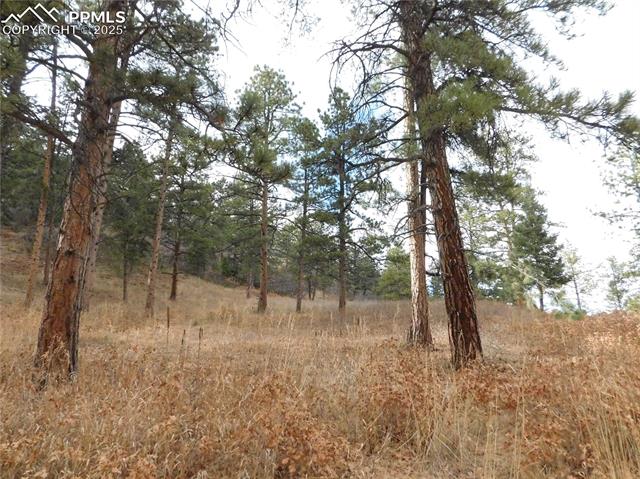 8055 Acoma Drive, Larkspur, CO, 80118 8055 Acoma Drive