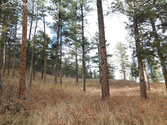 8055 Acoma Drive, Larkspur, CO, 80118 8055 Acoma Drive