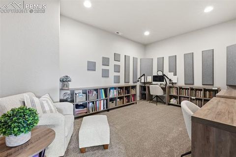 Tiny photo for 321 Thunder Ridge Drive, Woodland Park, CO 80863 (MLS # 6697827)