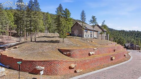 Tiny photo for 321 Thunder Ridge Drive, Woodland Park, CO 80863 (MLS # 6697827)