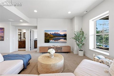 Tiny photo for 321 Thunder Ridge Drive, Woodland Park, CO 80863 (MLS # 6697827)