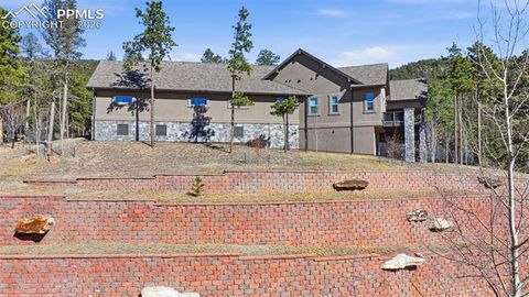 Tiny photo for 321 Thunder Ridge Drive, Woodland Park, CO 80863 (MLS # 6697827)