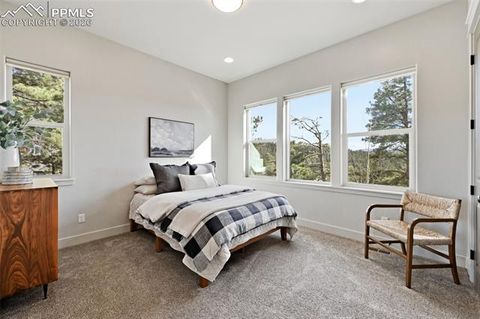 Tiny photo for 321 Thunder Ridge Drive, Woodland Park, CO 80863 (MLS # 6697827)