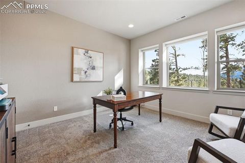 Tiny photo for 321 Thunder Ridge Drive, Woodland Park, CO 80863 (MLS # 6697827)