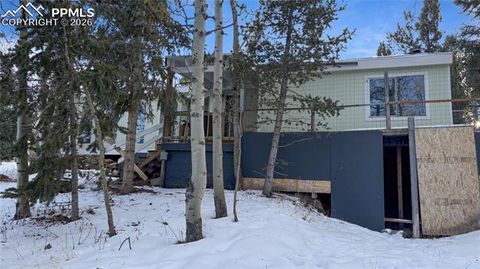 Photo of 10104 S Highway 67, Divide, CO 80814 (MLS # 7496241)