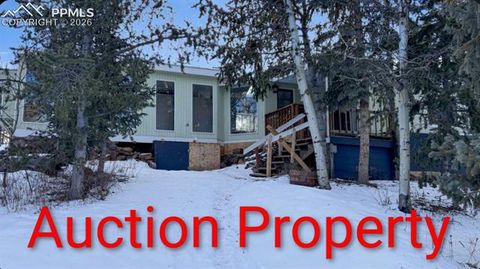 Photo of 10104 S Highway 67, Divide, CO 80814 (MLS # 7496241)