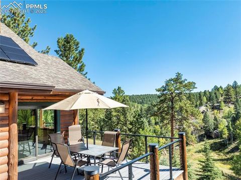 Tiny photo for 80 Feldspar Road, Florissant, CO 80816 (MLS # 1916413)
