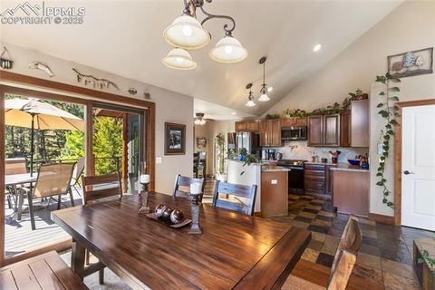 Tiny photo for 80 Feldspar Road, Florissant, CO 80816 (MLS # 1916413)