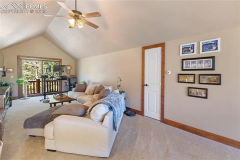 Tiny photo for 80 Feldspar Road, Florissant, CO 80816 (MLS # 1916413)