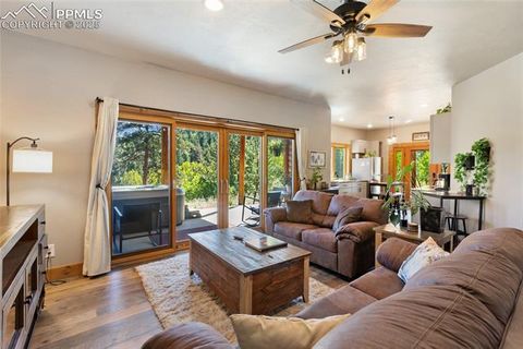Tiny photo for 80 Feldspar Road, Florissant, CO 80816 (MLS # 1916413)