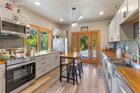 Tiny photo for 80 Feldspar Road, Florissant, CO 80816 (MLS # 1916413)