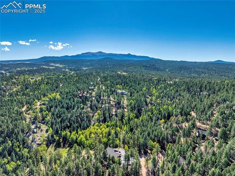 Tiny photo for 80 Feldspar Road, Florissant, CO 80816 (MLS # 1916413)