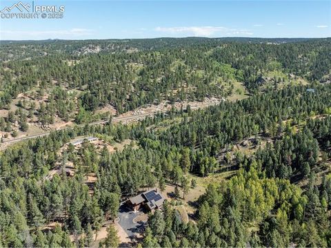 Tiny photo for 80 Feldspar Road, Florissant, CO 80816 (MLS # 1916413)
