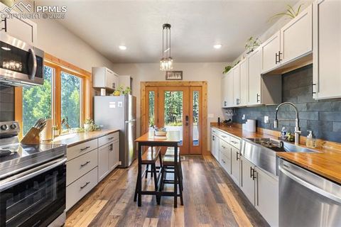 Tiny photo for 80 Feldspar Road, Florissant, CO 80816 (MLS # 1916413)