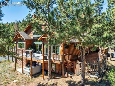 Tiny photo for 80 Feldspar Road, Florissant, CO 80816 (MLS # 1916413)