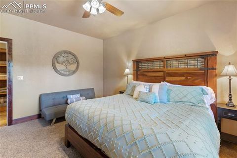 Tiny photo for 80 Feldspar Road, Florissant, CO 80816 (MLS # 1916413)
