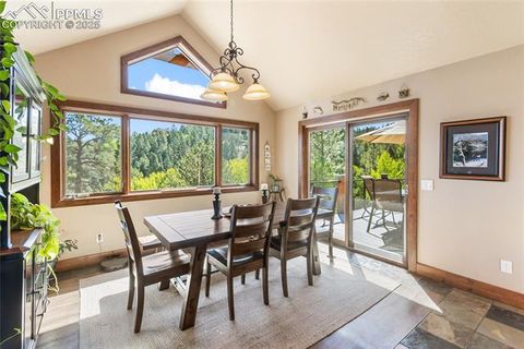 Tiny photo for 80 Feldspar Road, Florissant, CO 80816 (MLS # 1916413)