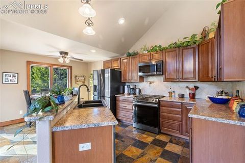 Tiny photo for 80 Feldspar Road, Florissant, CO 80816 (MLS # 1916413)