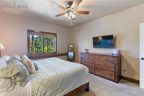 Tiny photo for 80 Feldspar Road, Florissant, CO 80816 (MLS # 1916413)