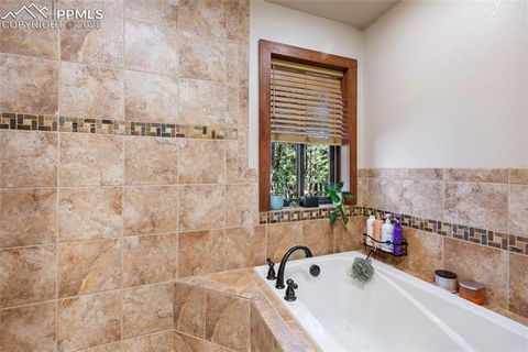 Tiny photo for 80 Feldspar Road, Florissant, CO 80816 (MLS # 1916413)
