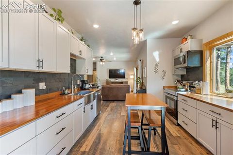Tiny photo for 80 Feldspar Road, Florissant, CO 80816 (MLS # 1916413)