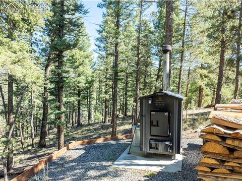 Tiny photo for 80 Feldspar Road, Florissant, CO 80816 (MLS # 1916413)