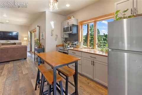 Tiny photo for 80 Feldspar Road, Florissant, CO 80816 (MLS # 1916413)